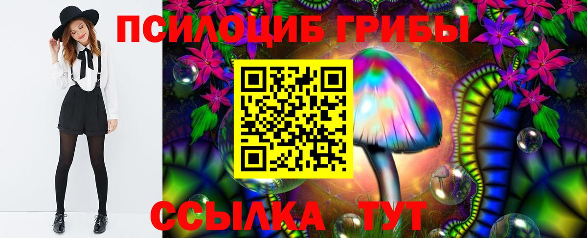 Галлюциногенные грибы Psilocybe  Вход с VPN  Железногорск 